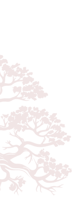 Decoration