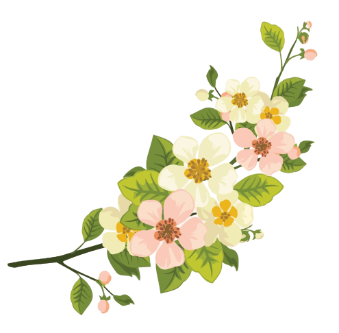 Decoration